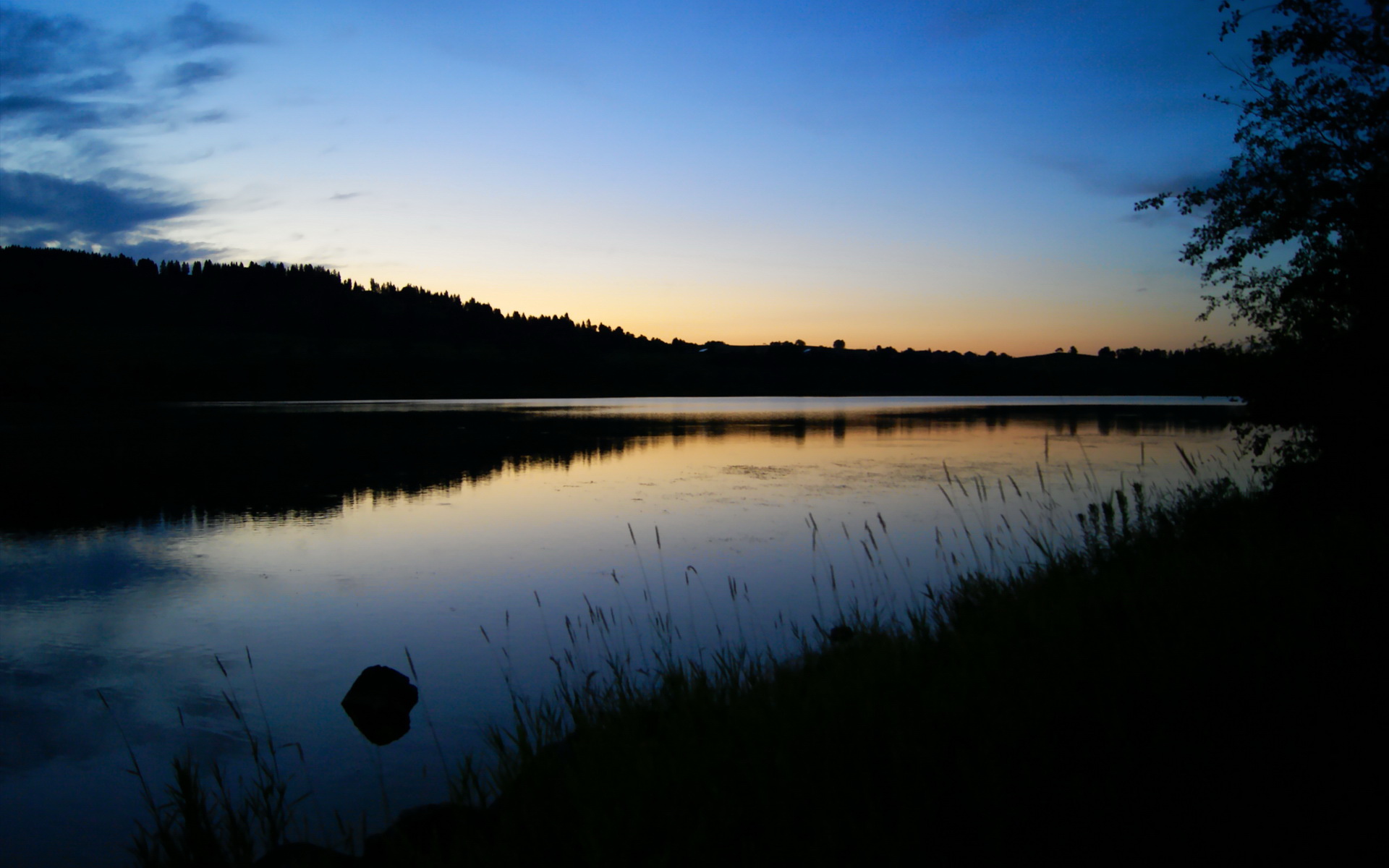 从北京到世界，霍勒迪的双重横扫与篮球的全球叙事