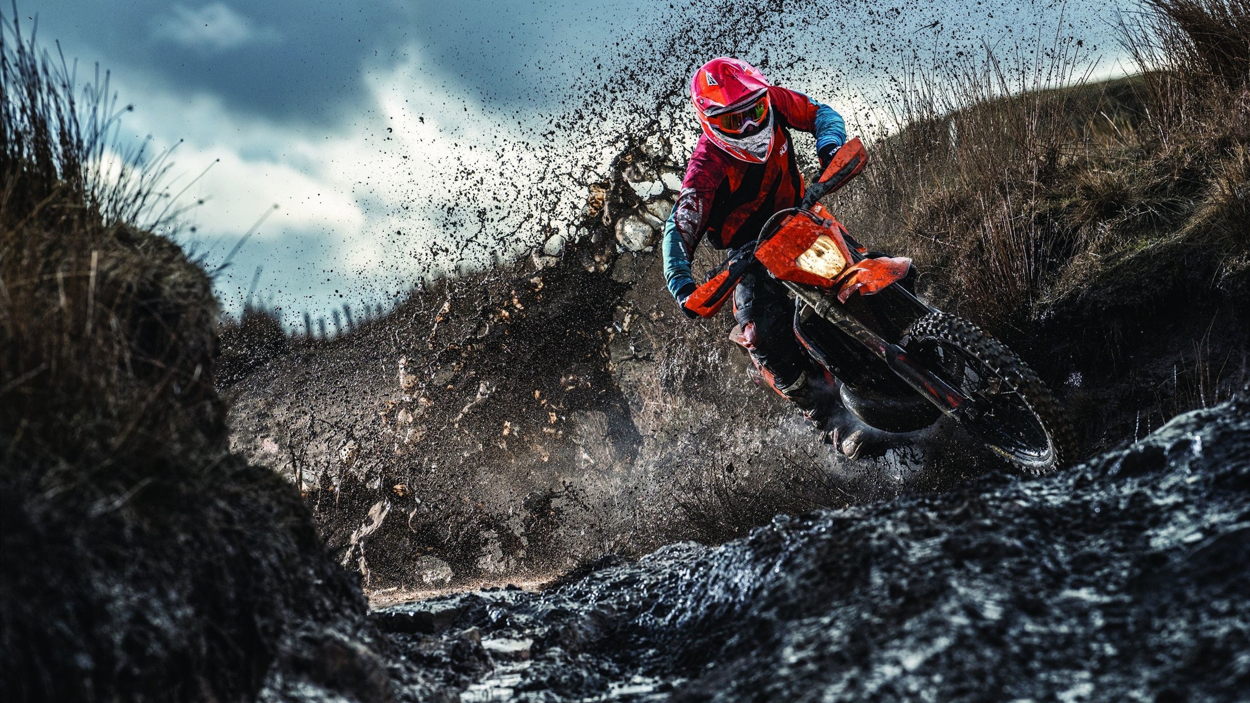 布克冠军级掌控，上海队以节奏之钥锁住广厦